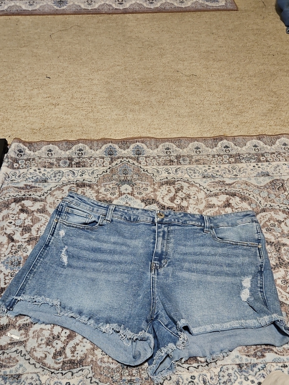 True Craft Faded Blue Frayed Hem Denim Shorts